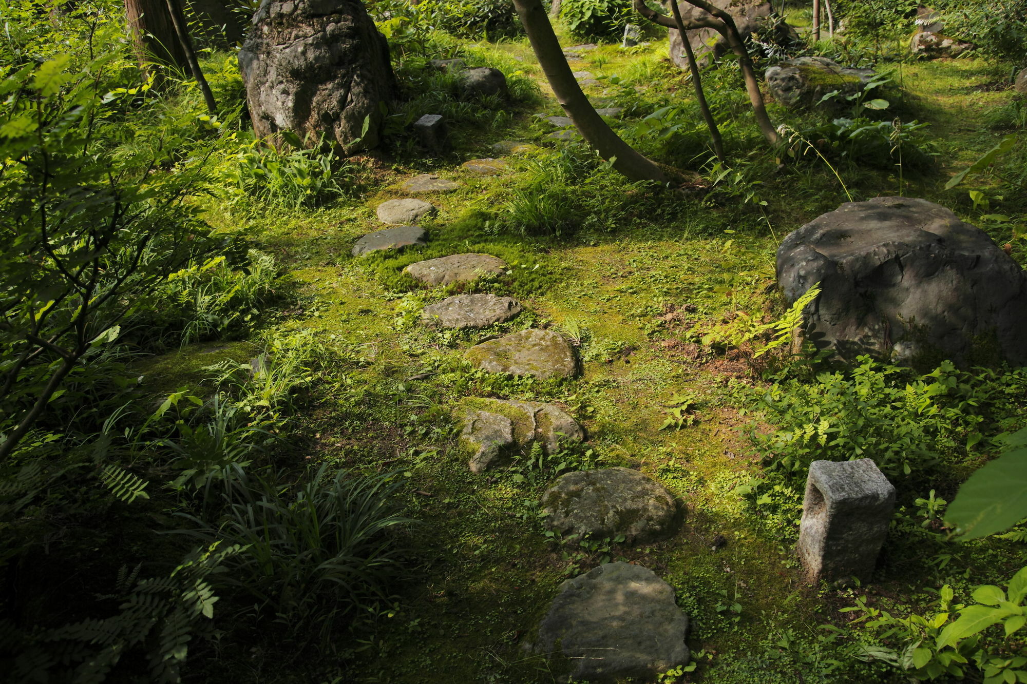 Ichirino Kogen Hotel Roan Hakusan Exterior foto